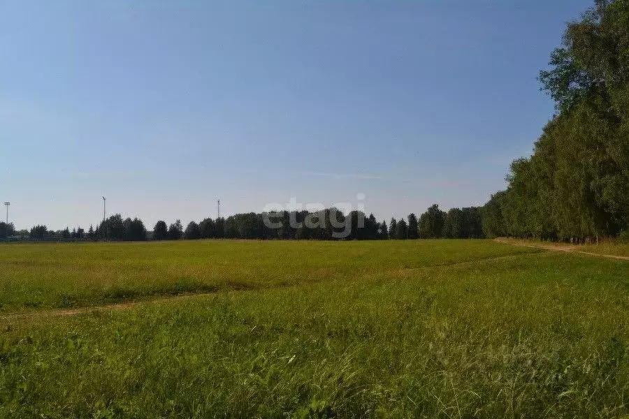 Участок в Костромская область, Красносельский район, Прискоковское ... - Фото 0