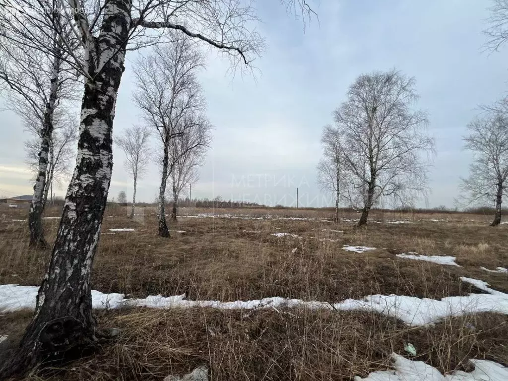 Участок в Тюмень, садовое товарищество Царево, Лесная улица (6.17 м) - Фото 0
