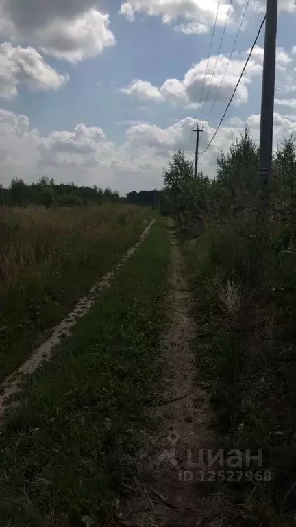 Участок в Нижегородская область, Богородский район, с. Алешково  (29.4 ... - Фото 0