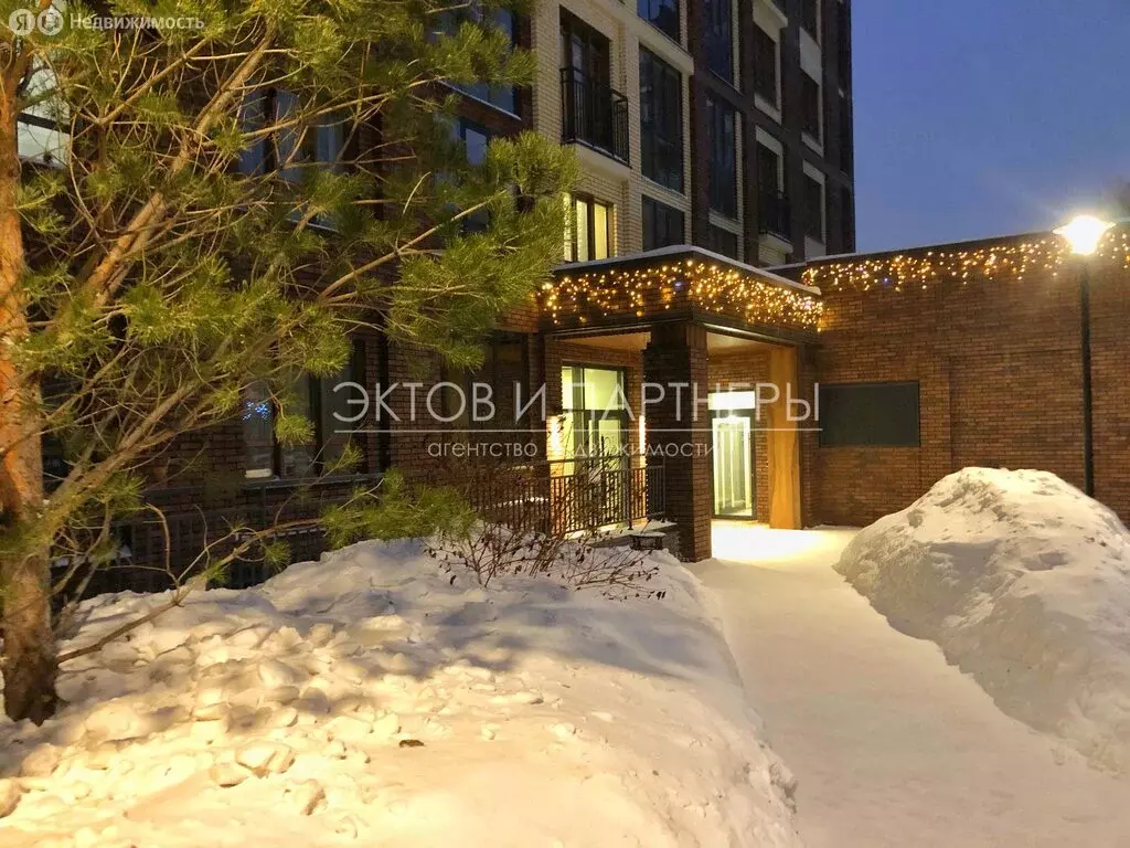 Квартира-студия: Новосибирск, улица Державина, 50 (25.2 м) - Фото 2