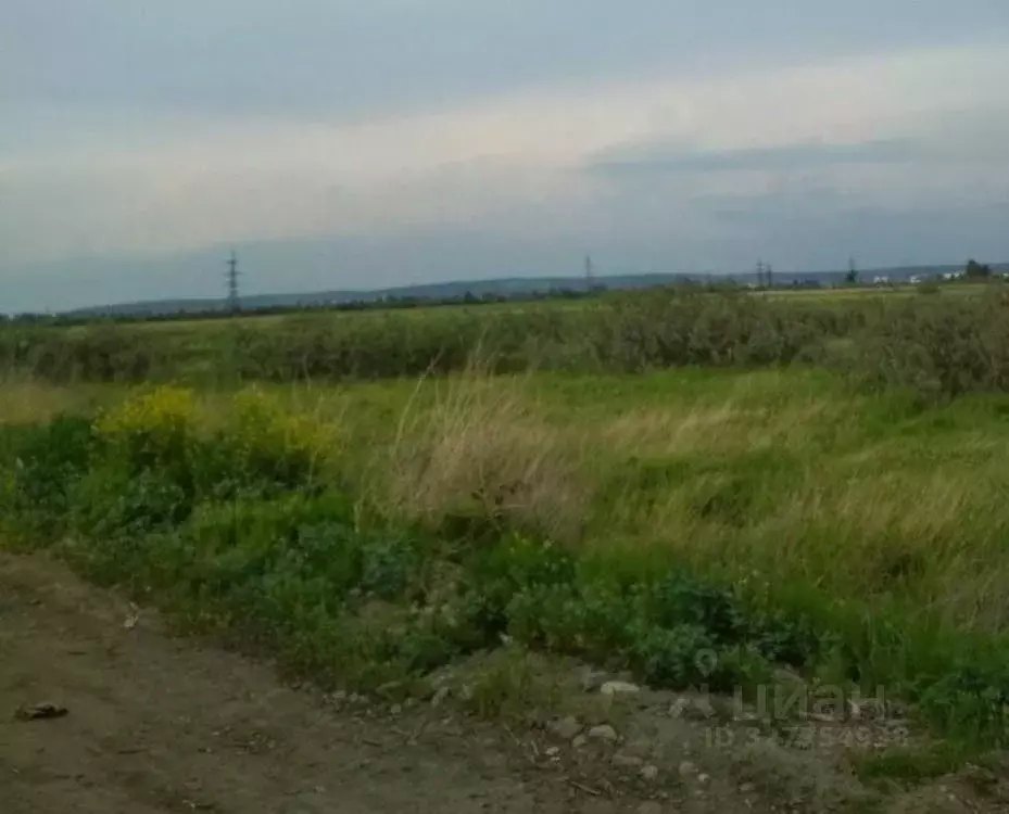 Участок в Иркутская область, Иркутский муниципальный округ, Иркутный ... - Фото 1