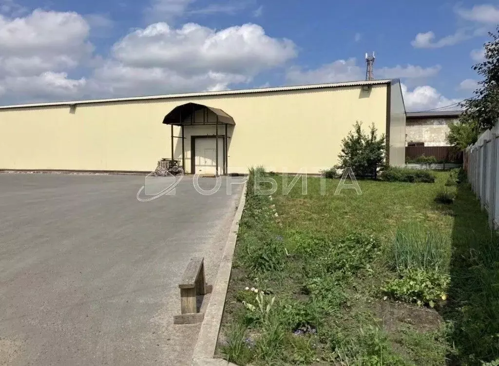 Участок в Тюменская область, Тюменский муниципальный округ, с. Луговое ... - Фото 2
