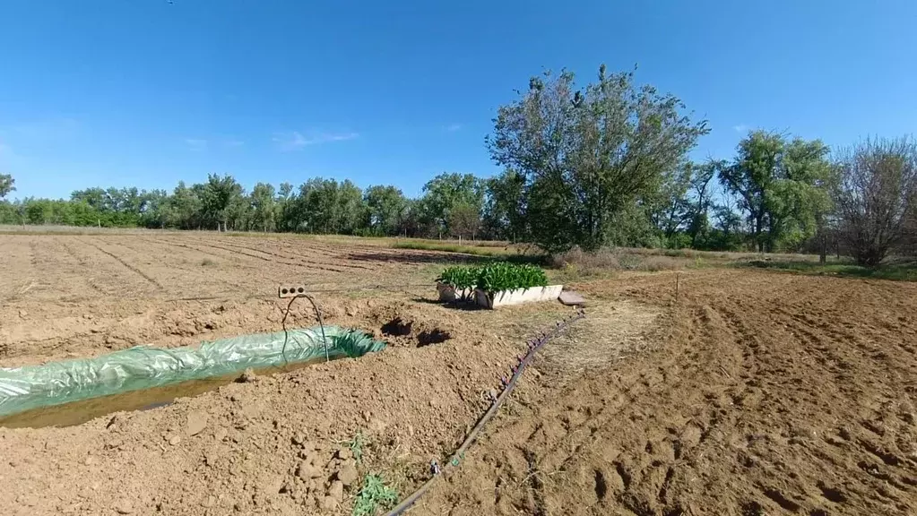 Участок в Волгоградская область, Среднеахтубинский район, Кировское ... - Фото 0