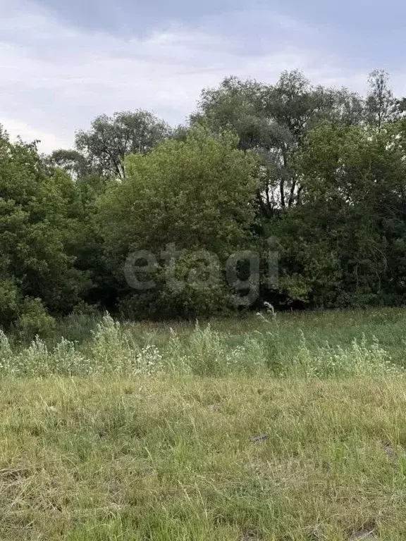 Участок в Курская область, Курский район, Шумаковский сельсовет, с. ... - Фото 0