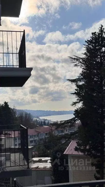 1-к кв. Краснодарский край, Сочи Хоста жилрайон, ул. Шоссейная, 3Е ... - Фото 1