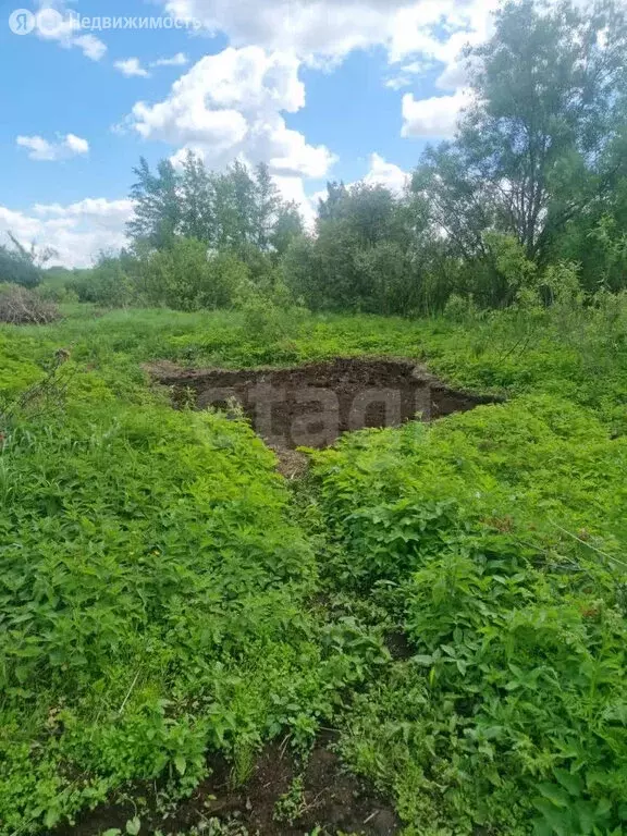 Участок в Ярославль, 7-я Забелицкая улица (6 м) - Фото 1