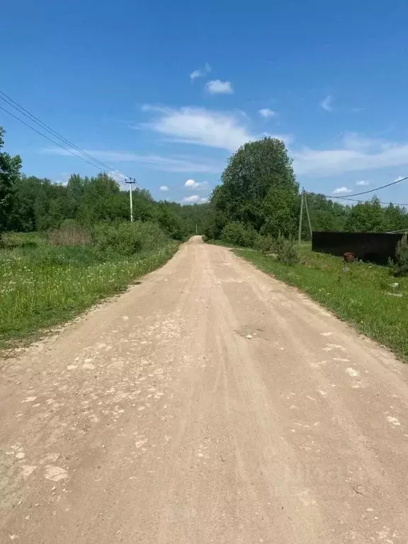 Участок в Новгородская область, Новгородский район, Трубичинское ... - Фото 0