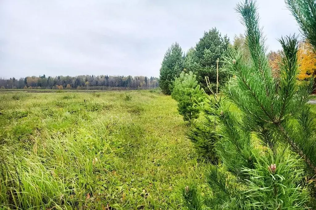 Участок в Московская область, Дмитровский муниципальный округ, д. ... - Фото 1