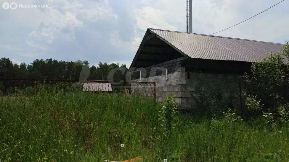 Участок в Тюменский район, деревня Речкина (21 м) - Фото 1