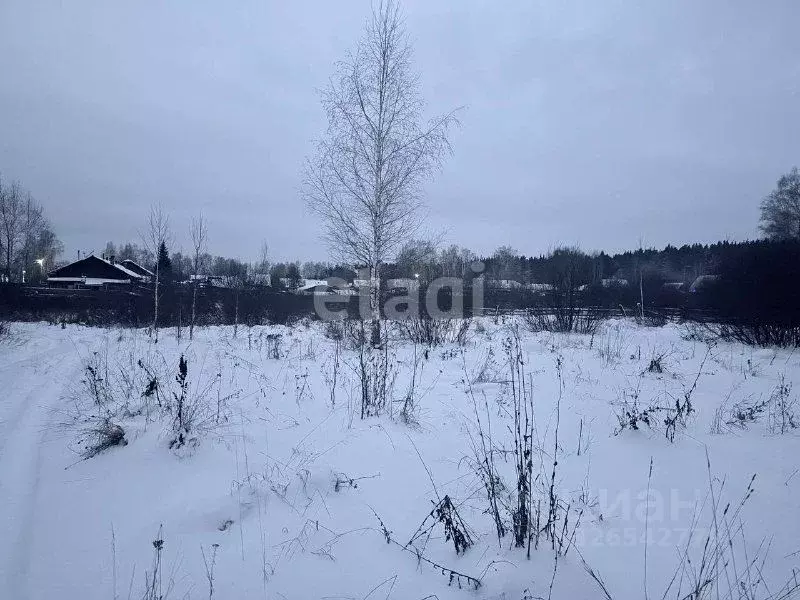 Участок в Курганская область, Каргапольский муниципальный округ, ... - Фото 2