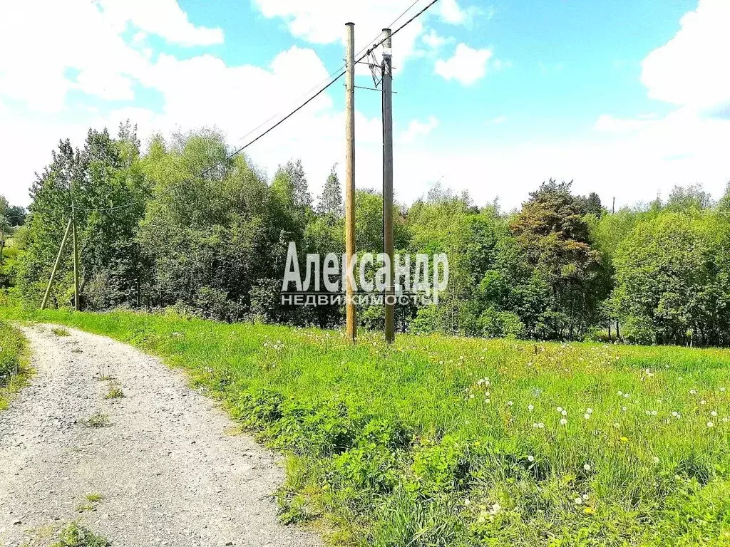 Участок в посёлок Сосново, Озёрная улица, 28В (20 м) - Фото 1