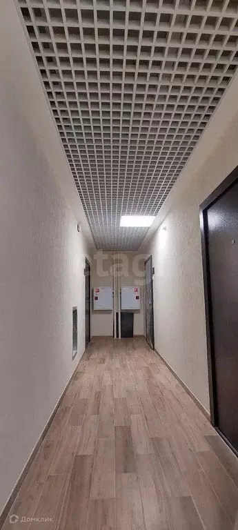 Продаётся квартира-студия, 35.8 м - Фото 0