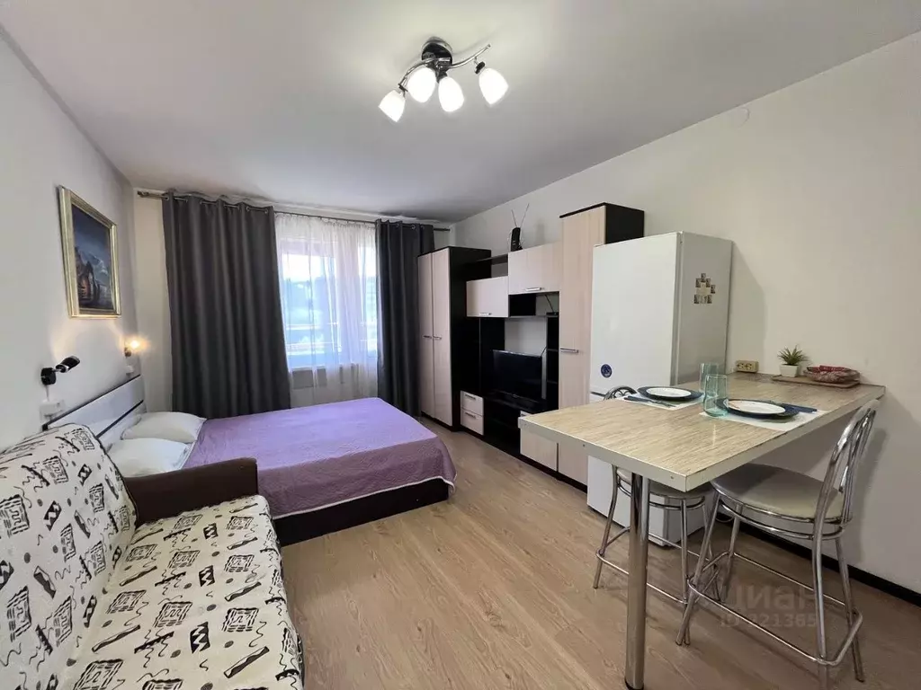 Студия Санкт-Петербург просп. Энергетиков, 9к3 (26.0 м) - Фото 1