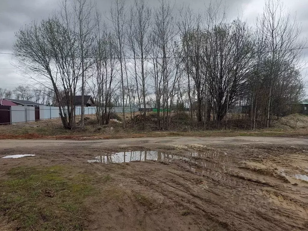 Участок в Нижегородская область, Богородский муниципальный округ, ... - Фото 2