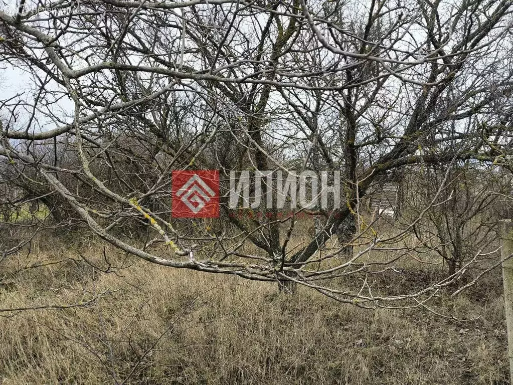 Участок в Урожайновское сельское поселение, ОК СТ Крымсовхозвинпром, ... - Фото 2