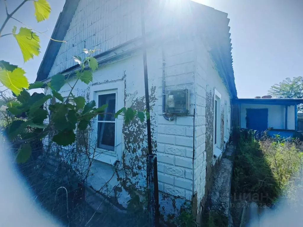 Участок в Краснодарский край, Новокубанский район, Бесскорбненское ... - Фото 1