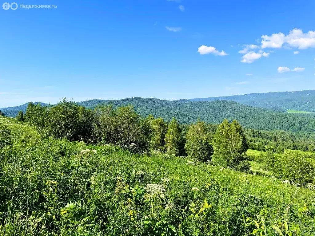 Участок в Чемальский район, Элекмонарское сельское поселение, ... - Фото 1