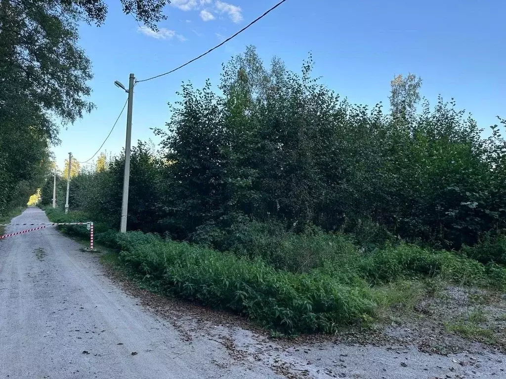 Участок в Ленинградская область, Приозерский район, Ларионовское ... - Фото 0