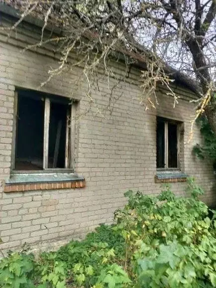 Дом в Ленинградская область, Кингисепп Лужская ул., 9А (44 м) - Фото 1