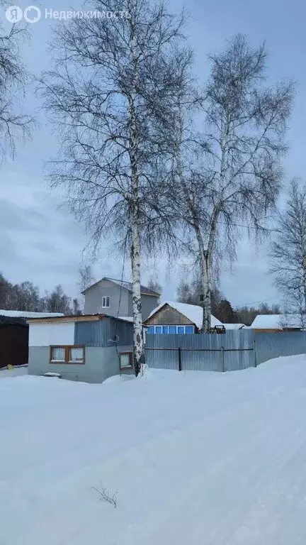 Участок в Тюменская область, Нижнетавдинский муниципальный округ, СНТ ... - Фото 2