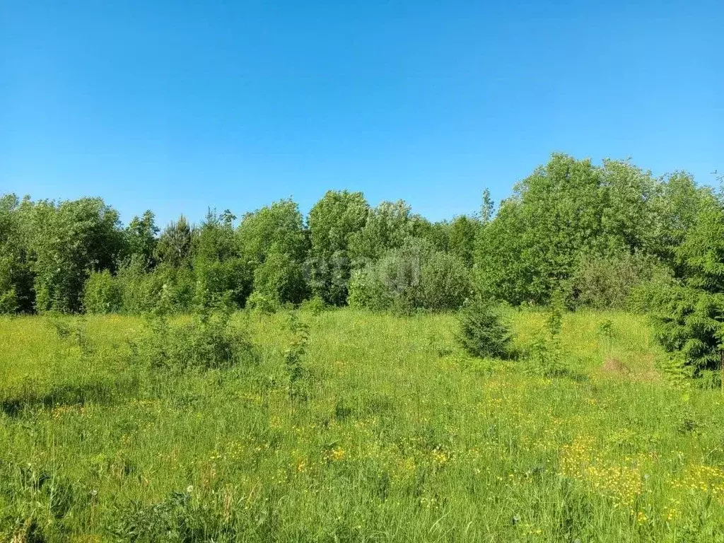 участок в пермский край, добрянский городской округ, д. городище, . - Фото 0