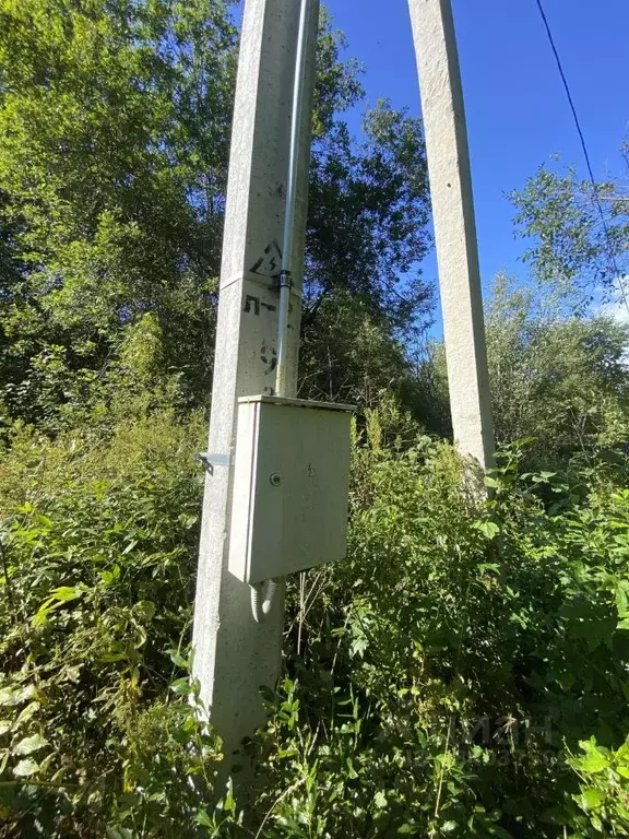 Участок в Псковская область, Гдов городское поселение, д. Черма  (15.0 ... - Фото 1