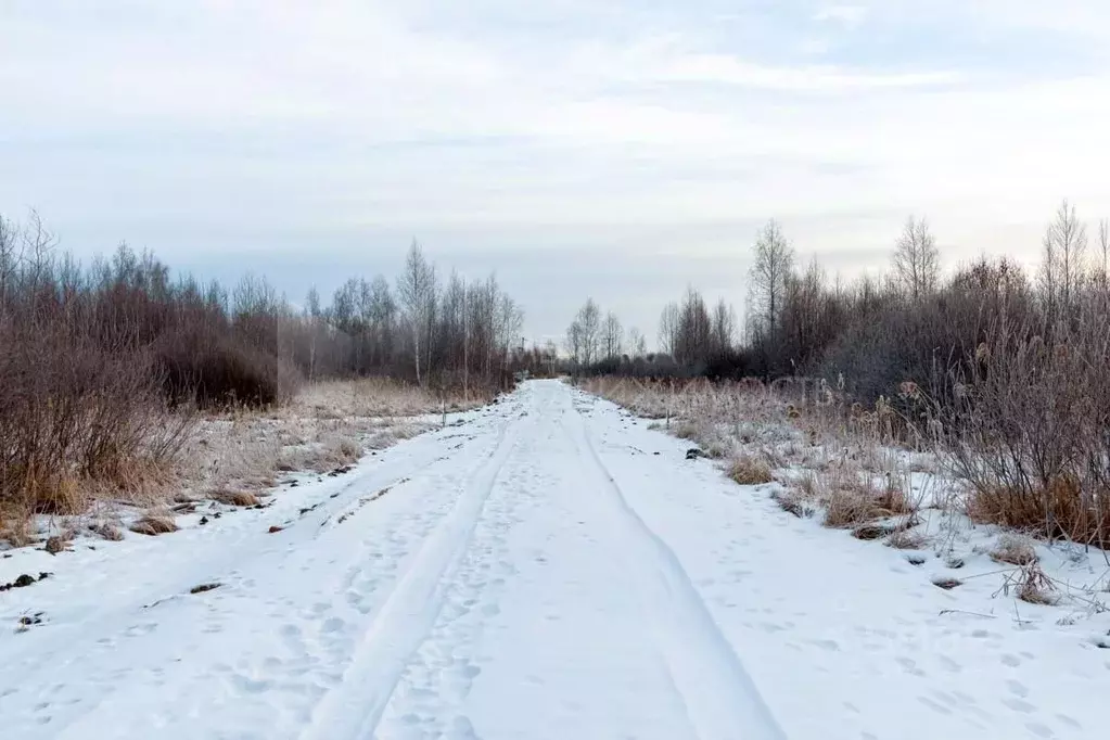 Участок в Тюменская область, Тюмень  (200.0 сот.) - Фото 0