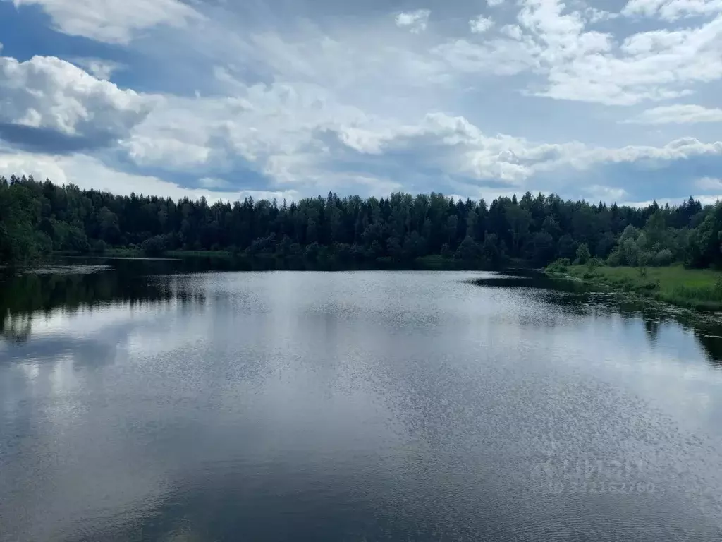 Участок в Московская область, Дмитровский муниципальный округ, д. ... - Фото 1
