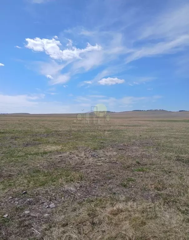 Участок в Иркутская область, Эхирит-Булагатский район, пос. ... - Фото 2
