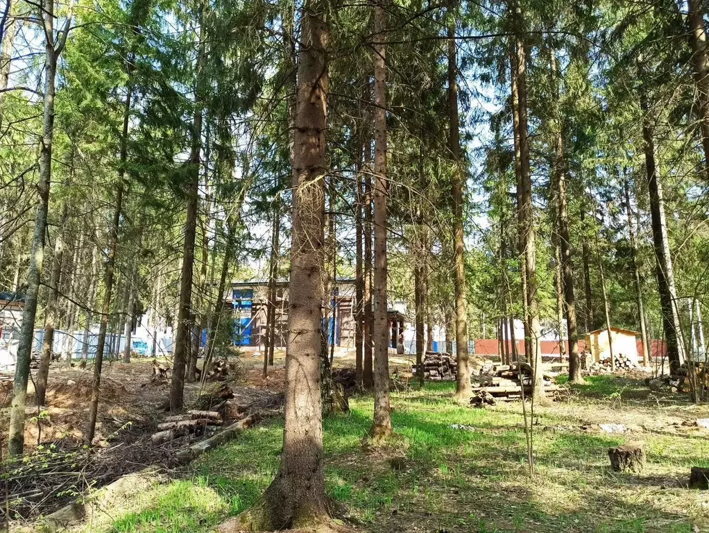 Участок в Москва Вузсервис СНТ, 102 (10.0 сот.) - Фото 1