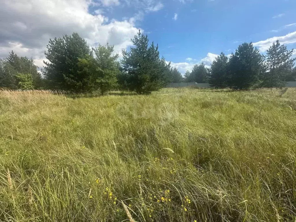 Участок в Воронежская область, Рамонский район, Новоживотинновское ... - Фото 2