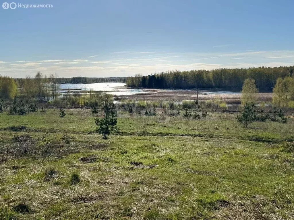 Участок в посёлок Зарубино, микрорайон Экоград, 1-й квартал (10 м) - Фото 2
