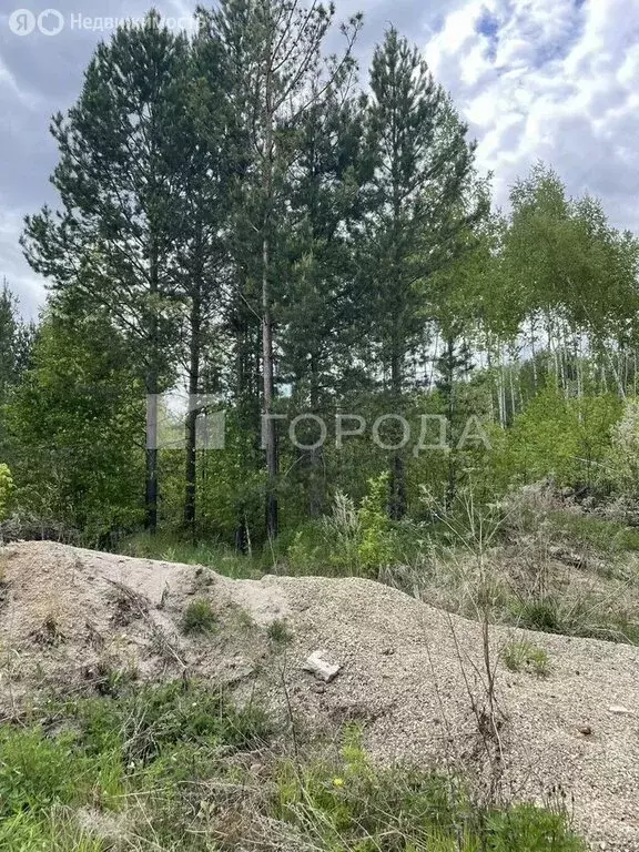 Участок в Кубовинский сельсовет (10 м) - Фото 1