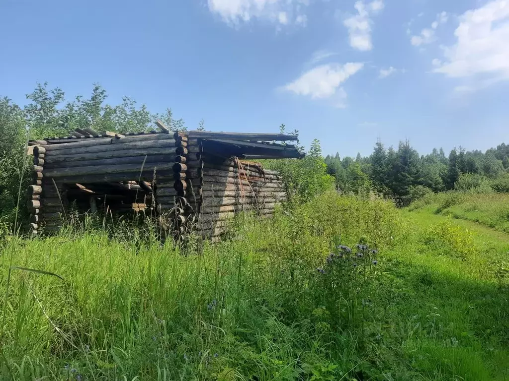 участок в новгородская область, маловишерское городское поселение, д. . - Фото 1