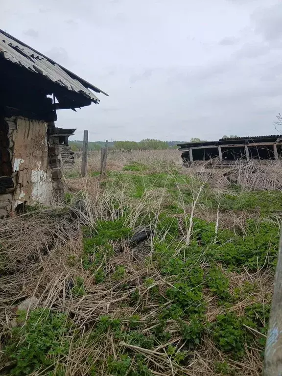 Участок 54,66 га (ИЖС) - Фото 0