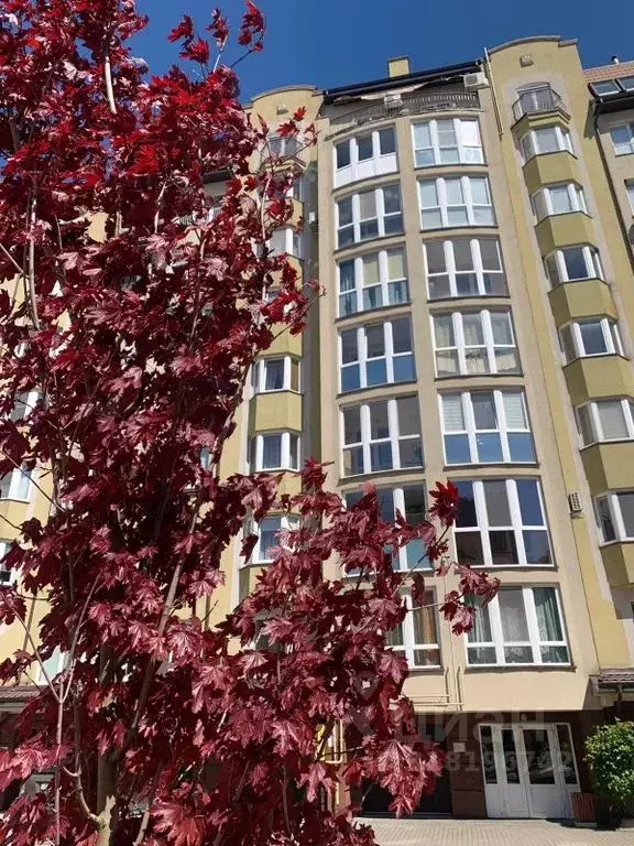 Студия Калининградская область, Зеленоградск Московская ул., 64 (40.0 ... - Фото 1