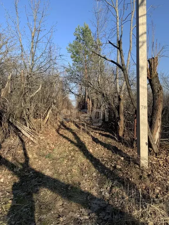 Участок в Мордовия, Саранск Выпрямитель-1 СНТ,  (7.5 сот.) - Фото 0