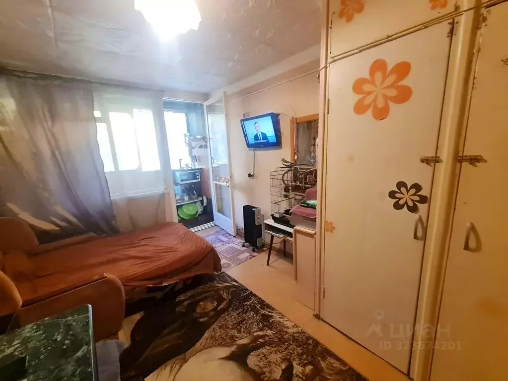 1-к кв. Краснодарский край, Сочи ул. Тимирязева, 8 (15.0 м) - Фото 1