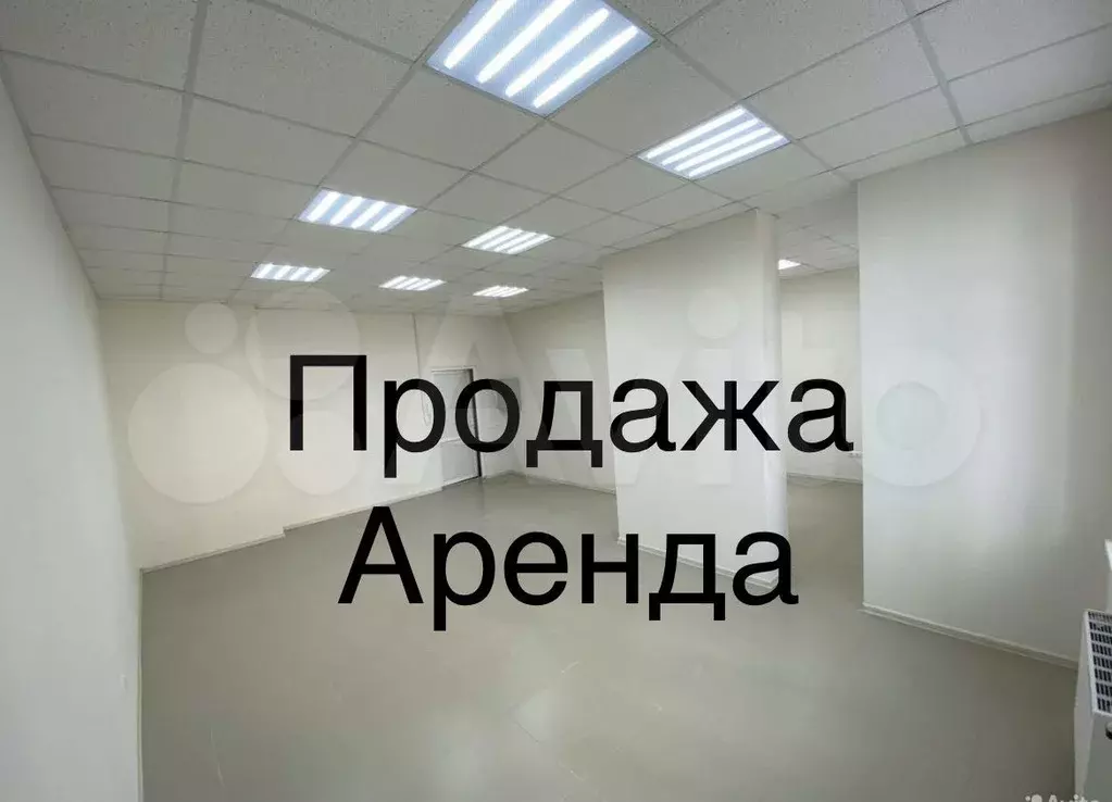 Помещение Свободного назначения 42 м у пятерочки - Фото 0