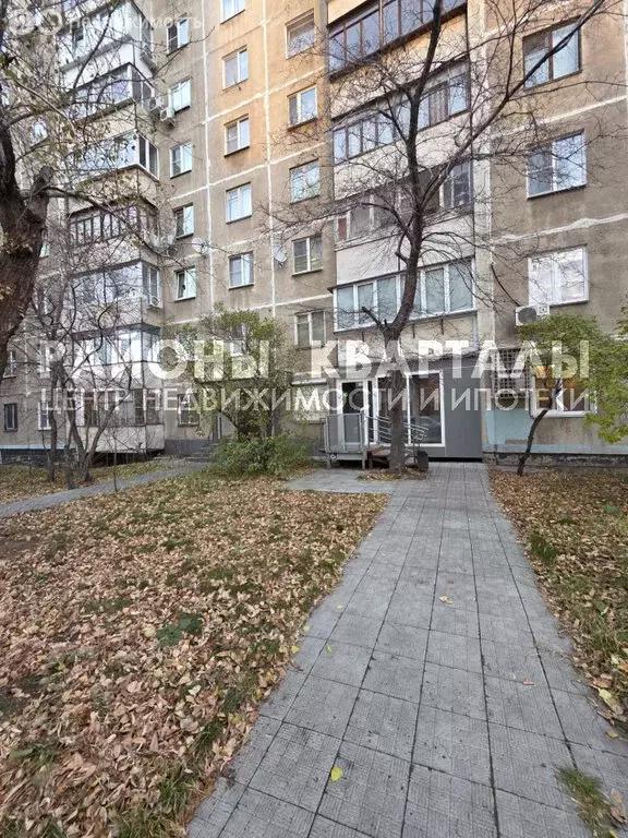 Офис (32.3 м) - Фото 1