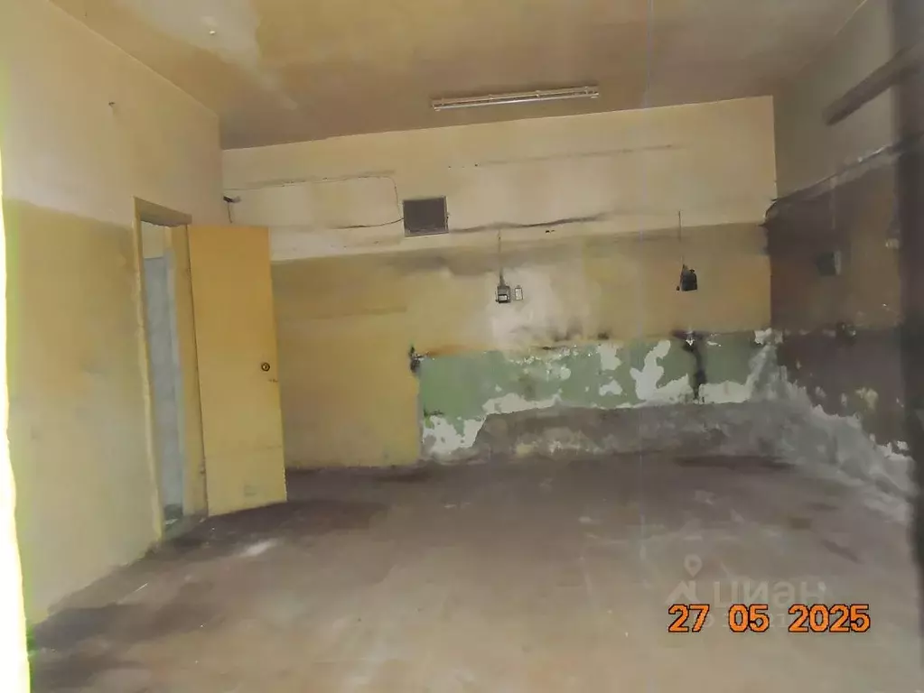 Помещение свободного назначения в Новосибирская область, Новосибирск ... - Фото 1