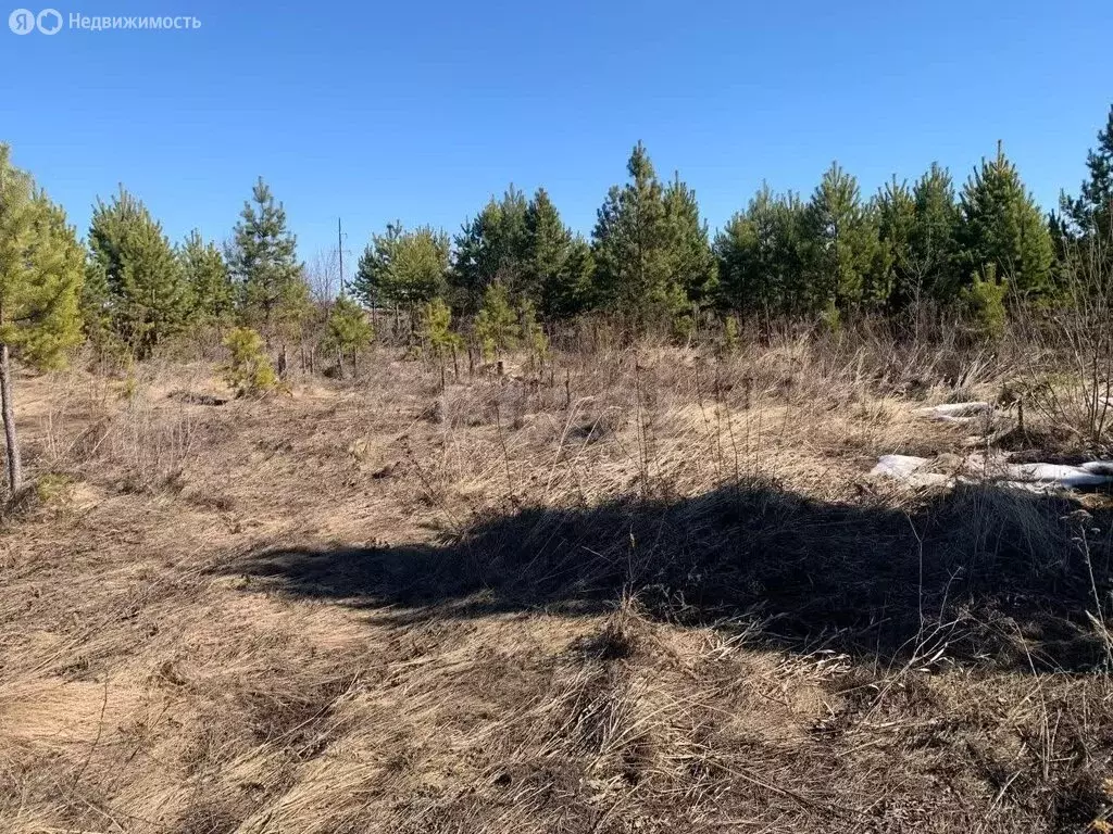 Участок в Камышлов, Светлая улица (10 м) - Фото 2
