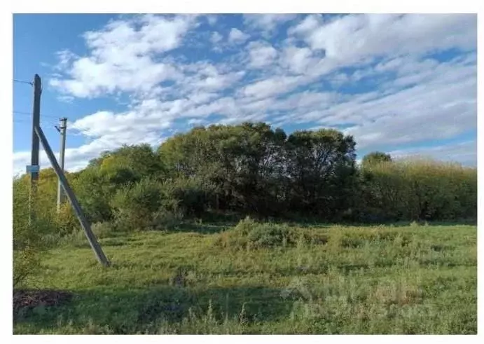 Участок в Амурская область, Бурейский муниципальный округ, с. Старая ... - Фото 2