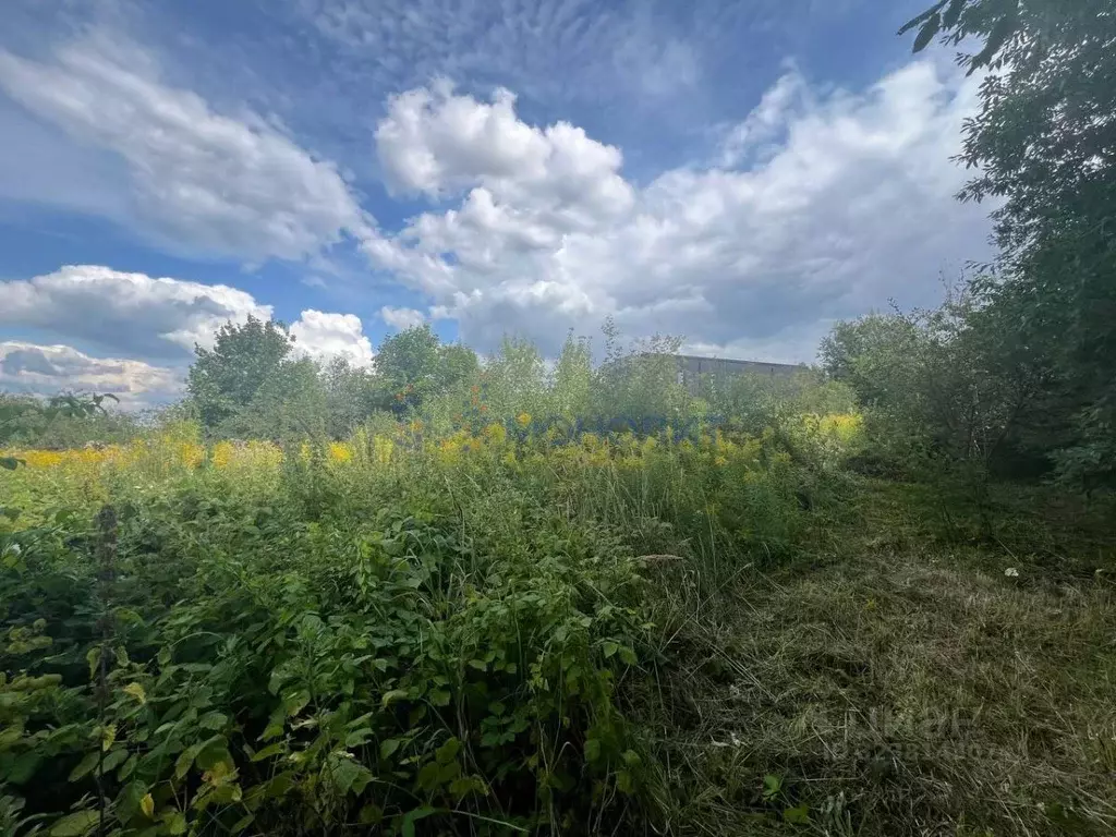 Участок в Нижегородская область, Нижний Новгород с. Федяково,  (11.0 ... - Фото 1
