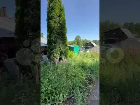 Участок 10 сот. (СНТ, ДНП) - Фото 1