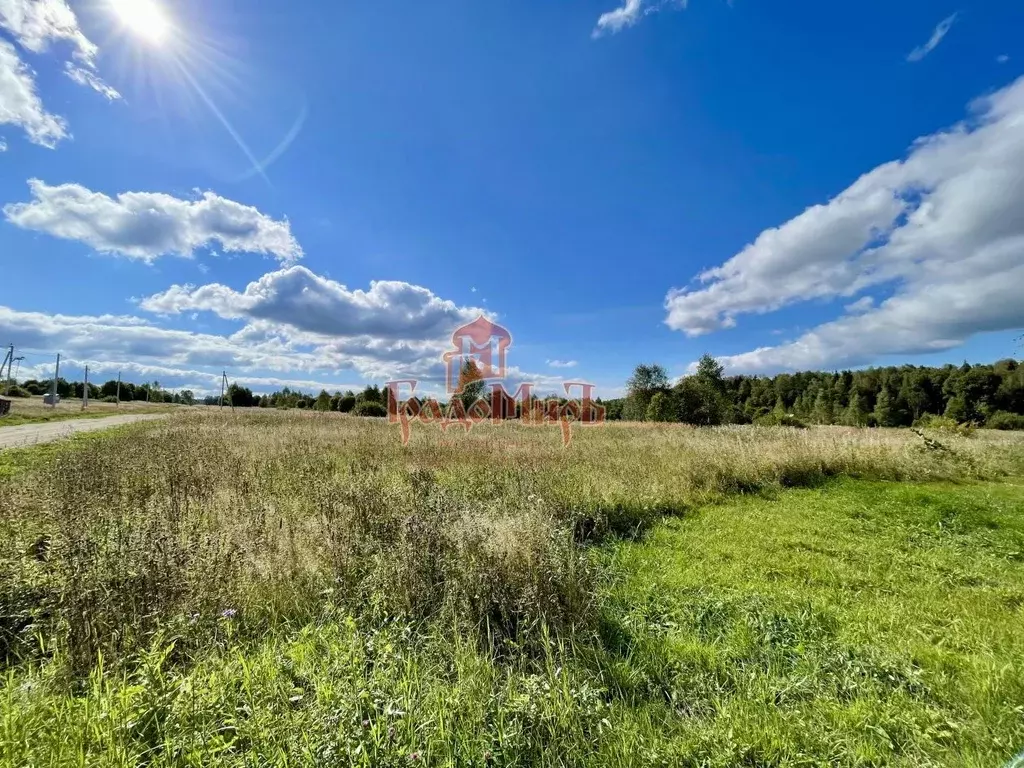 Участок в Владимирская область, Александровский муниципальный округ, ... - Фото 1