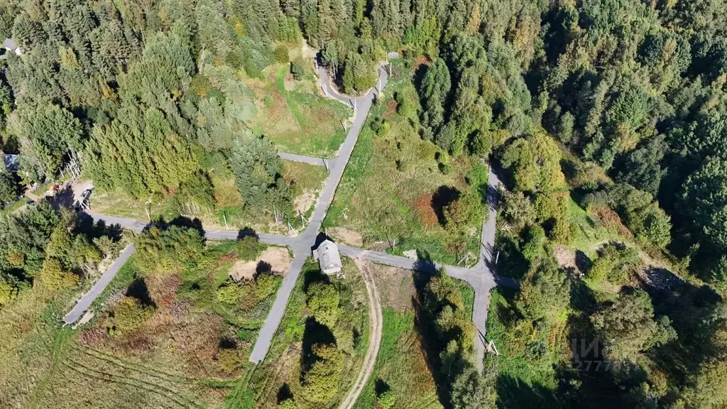 Участок в Ленинградская область, Приозерский район, Красноозерное ... - Фото 2