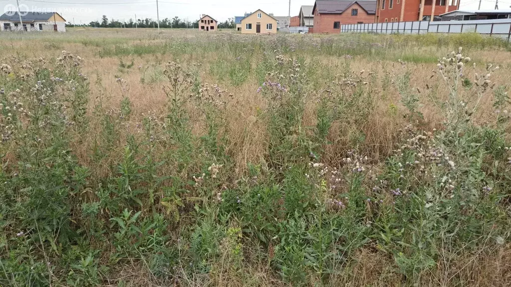 Участок в Краснодарский край, Ейское городское поселение (6 м) - Фото 1