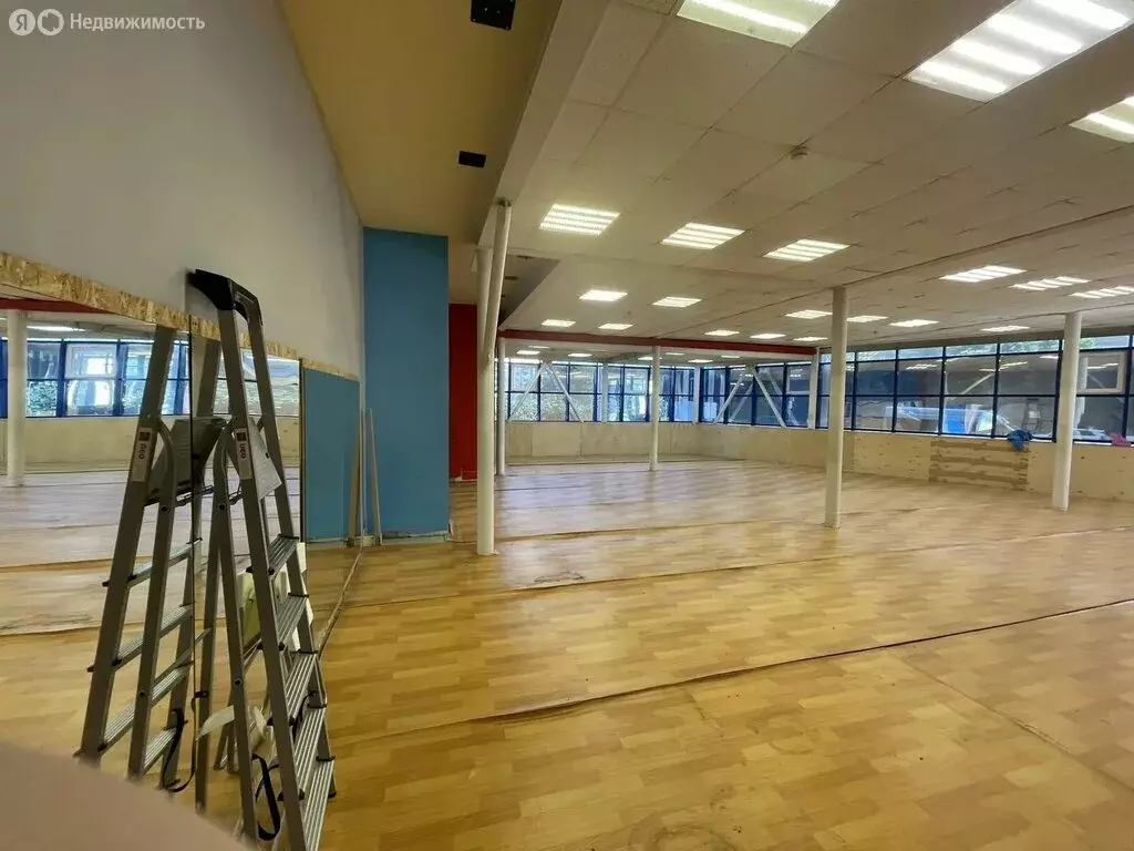 Помещение свободного назначения (252.6 м) - Фото 2