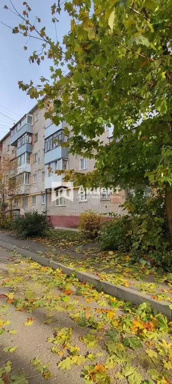 1-к. квартира, 29,1 м, 1/5 эт. - Фото 1